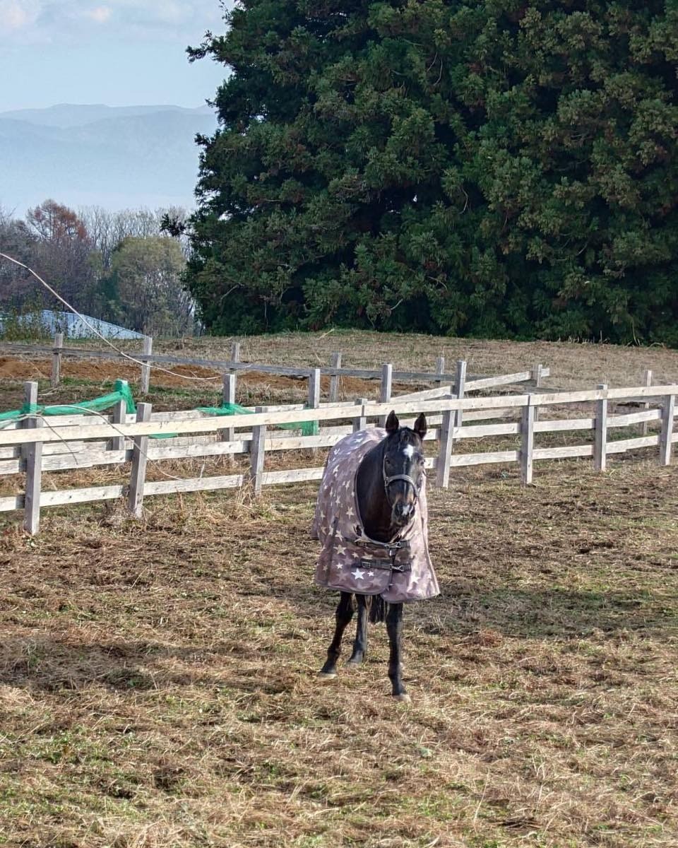 070a72ae398e755638ca55deba428e96-1765767889.jpg 070a72ae398e755638ca55deba428e96-1765767889.jpg