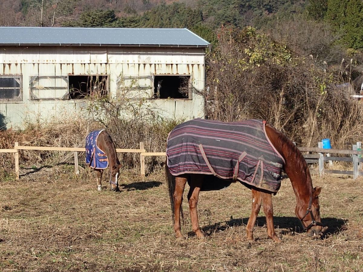 60c790e40b6011196efb4444f70cb313-1765767869.jpg 60c790e40b6011196efb4444f70cb313-1765767869.jpg