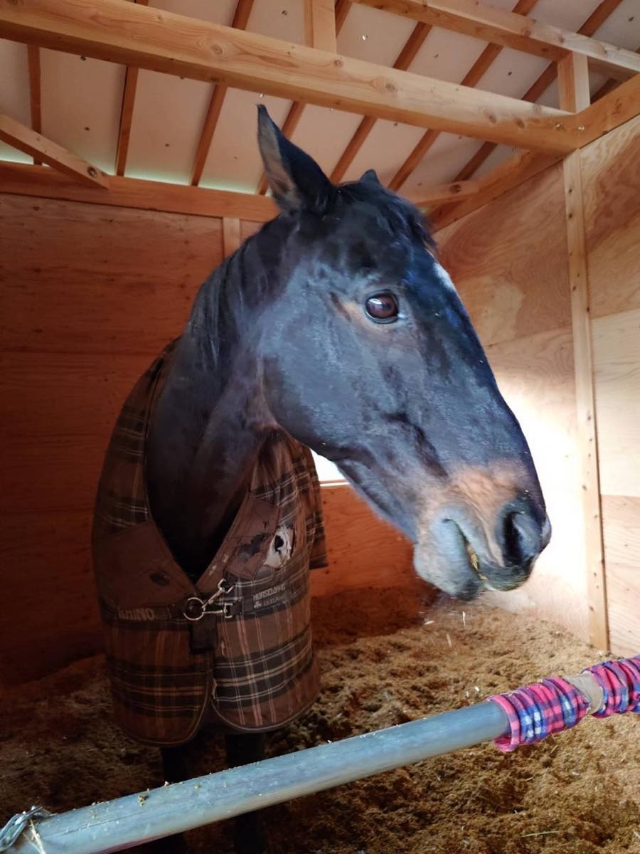 5a7dbb39a952a6e4cc74027d049bc6a7-1765767883.jpg 5a7dbb39a952a6e4cc74027d049bc6a7-1765767883.jpg