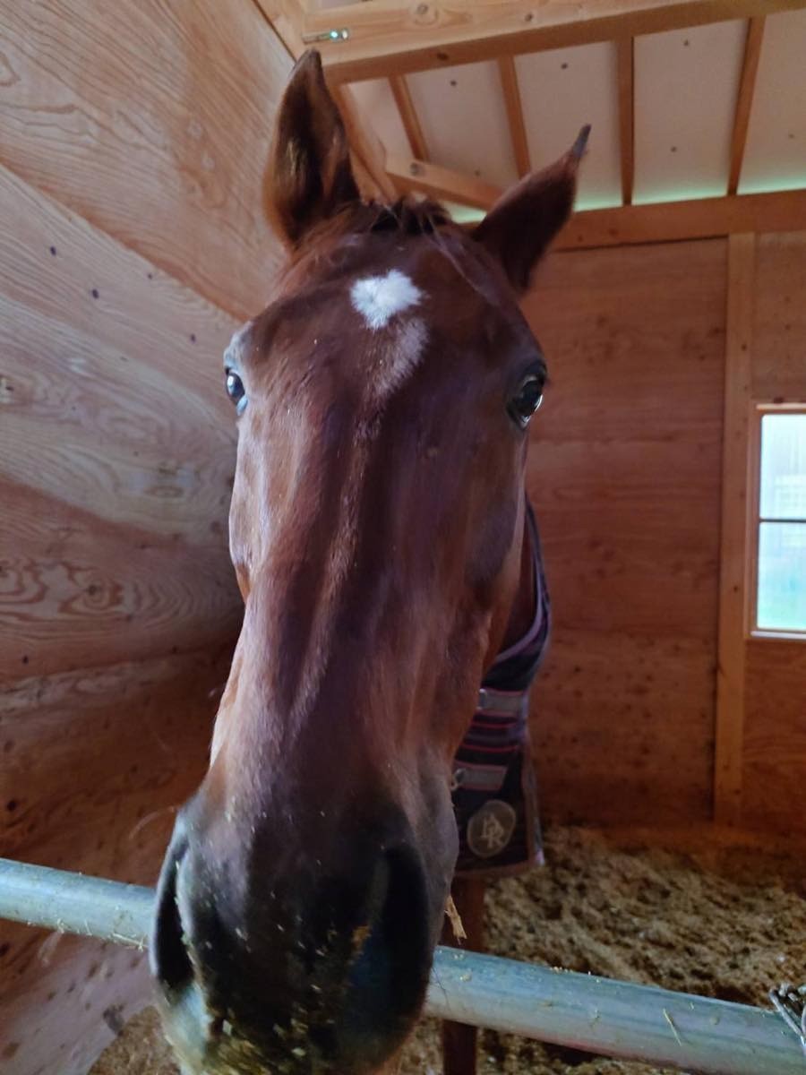 b47b51c4c684c625cbdbe471e0b0a7ed-1765767874.jpg b47b51c4c684c625cbdbe471e0b0a7ed-1765767874.jpg