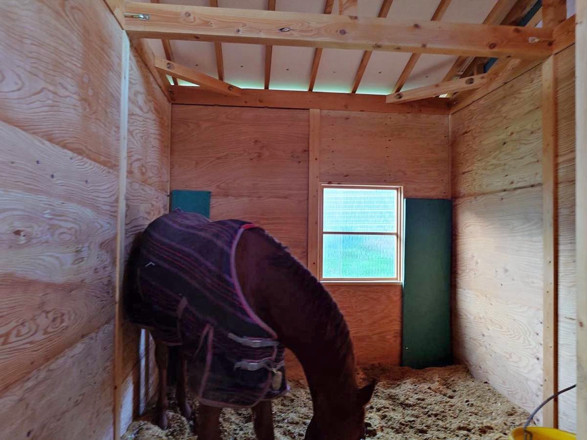 37be00b321ba16295cba562f1de0a44c-1765768047.jpg 37be00b321ba16295cba562f1de0a44c-1765768047.jpg