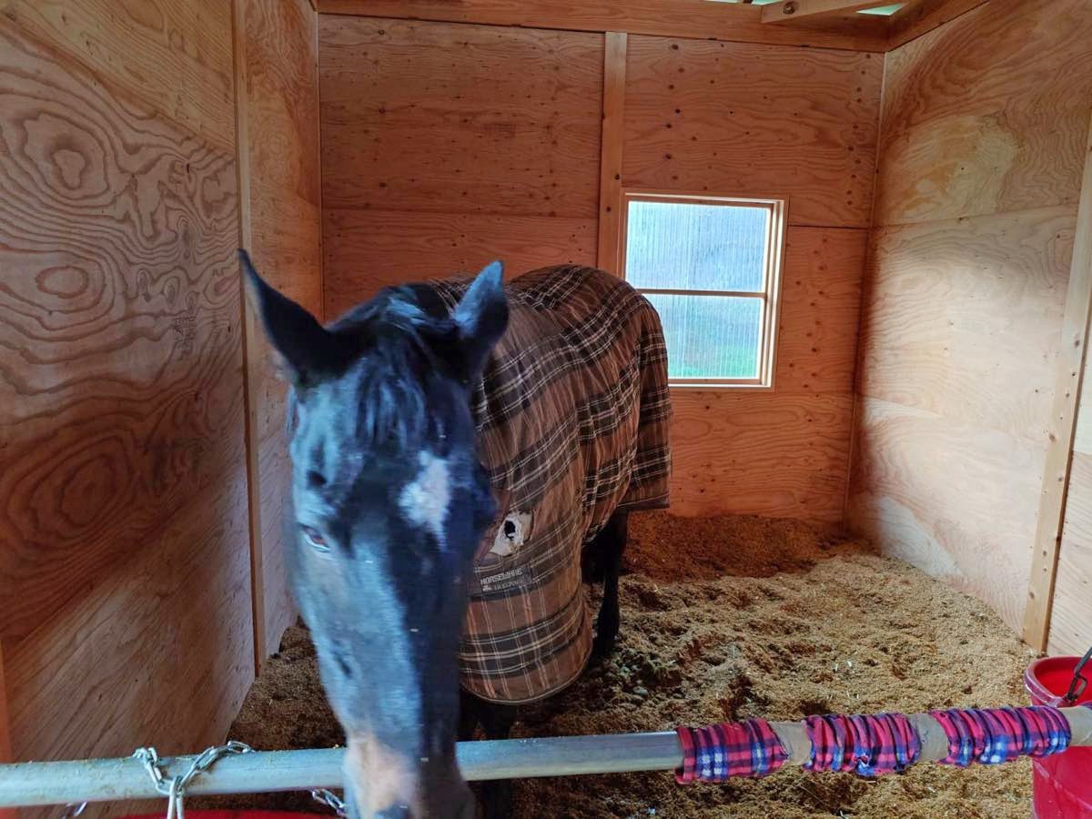 6535d2857054ce465776f8e50bf98c92-1765769358.jpg 6535d2857054ce465776f8e50bf98c92-1765769358.jpg