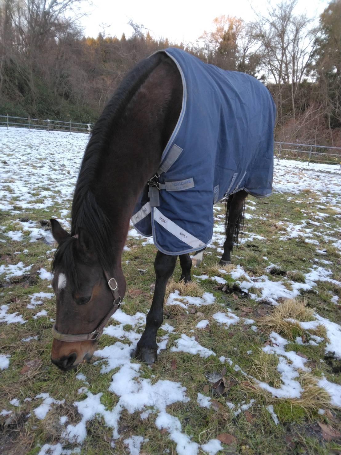 67164a44d3e35c3e86896147b1b018ad-1766232879.jpg 67164a44d3e35c3e86896147b1b018ad-1766232879.jpg