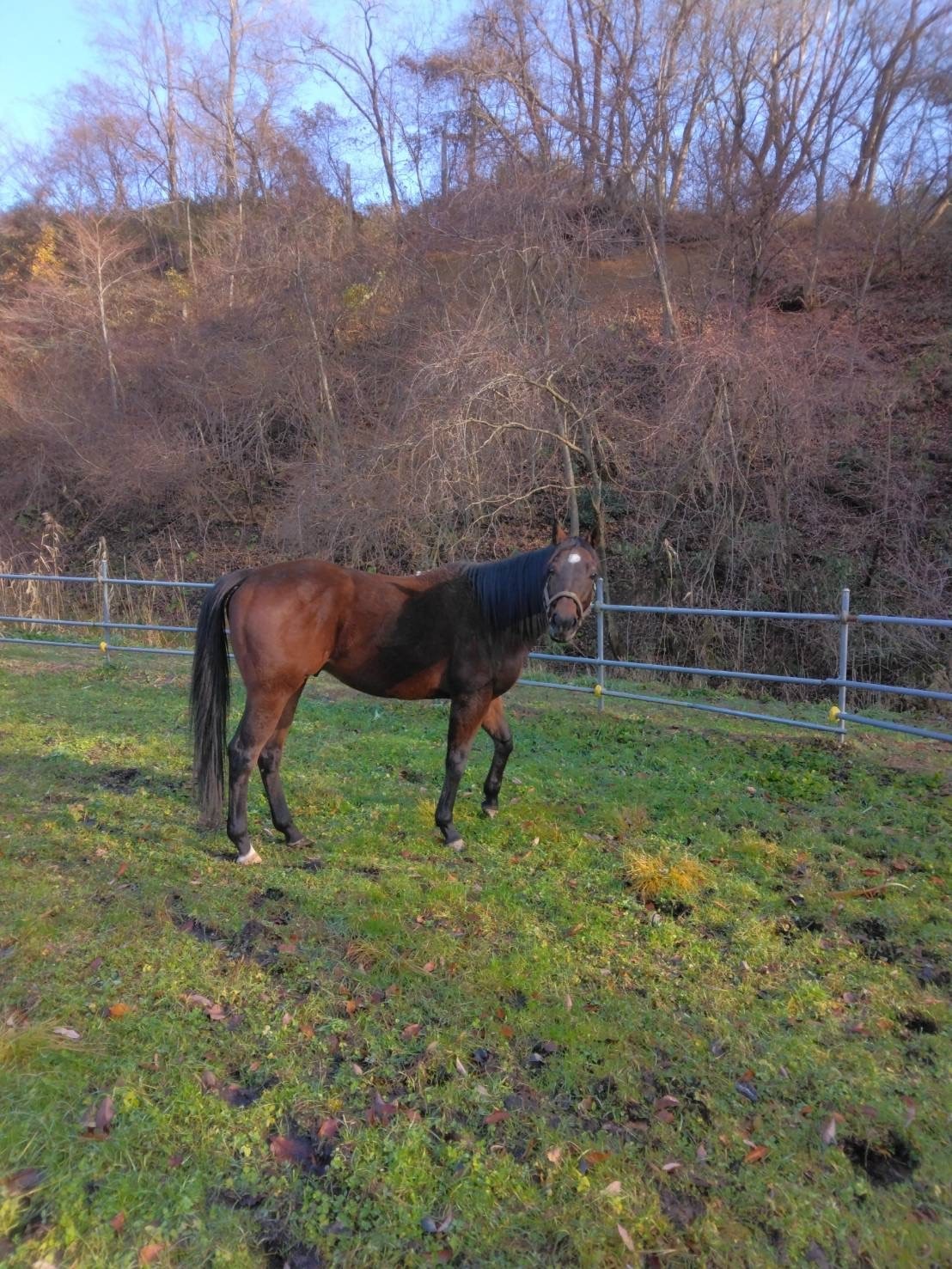 0cc7b4dbc4426486877623d2216078f2-1766234379.jpg 0cc7b4dbc4426486877623d2216078f2-1766234379.jpg