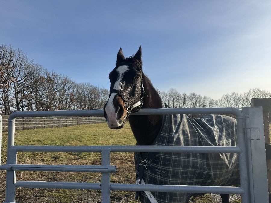 49fd49feec5f0fecfbddb163a6e5a743-1765638805.jpg 49fd49feec5f0fecfbddb163a6e5a743-1765638805.jpg