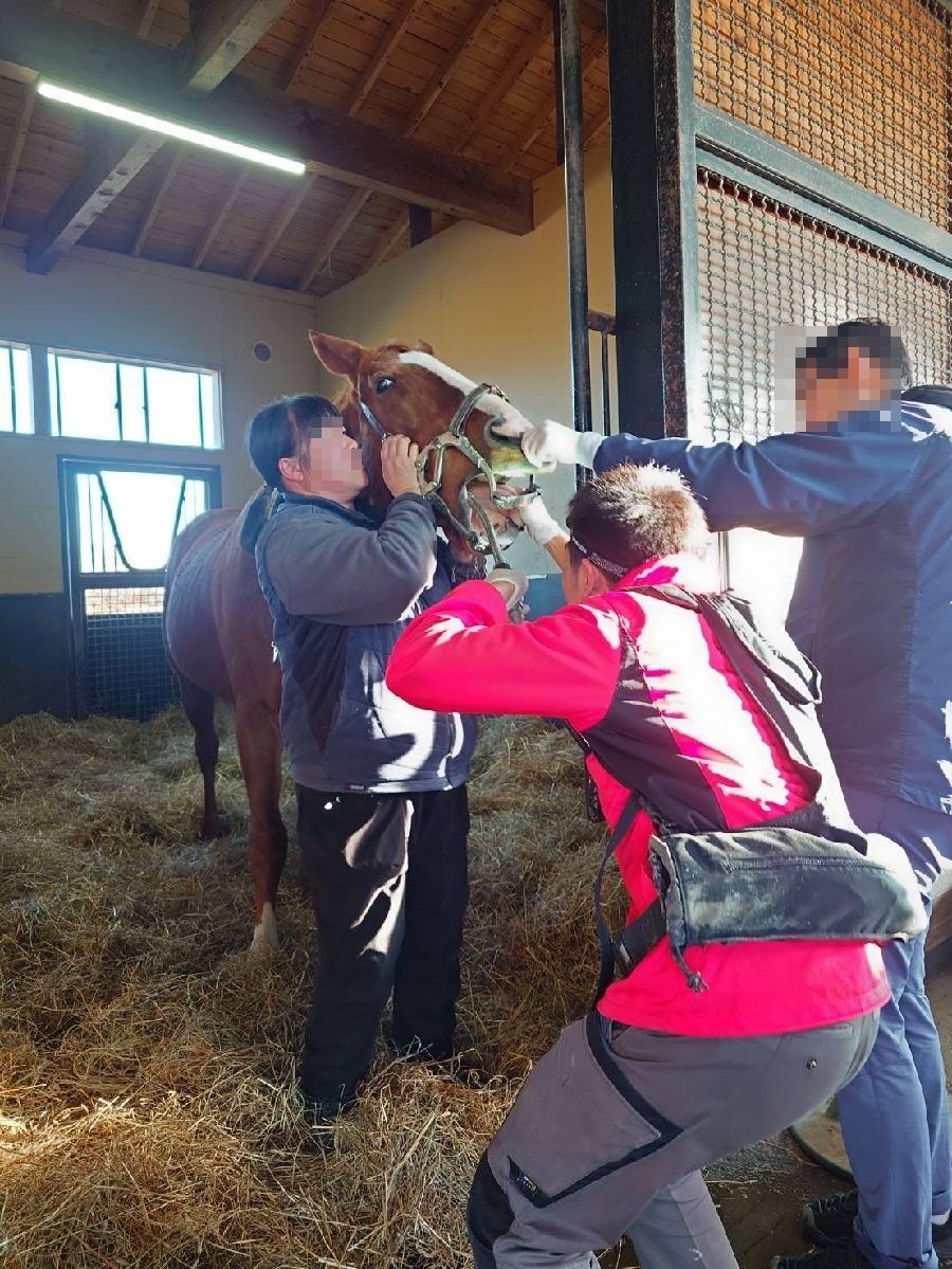 53ac9feaa0498ca2376c9261fc34dc64-1765638185.jpg 53ac9feaa0498ca2376c9261fc34dc64-1765638185.jpg