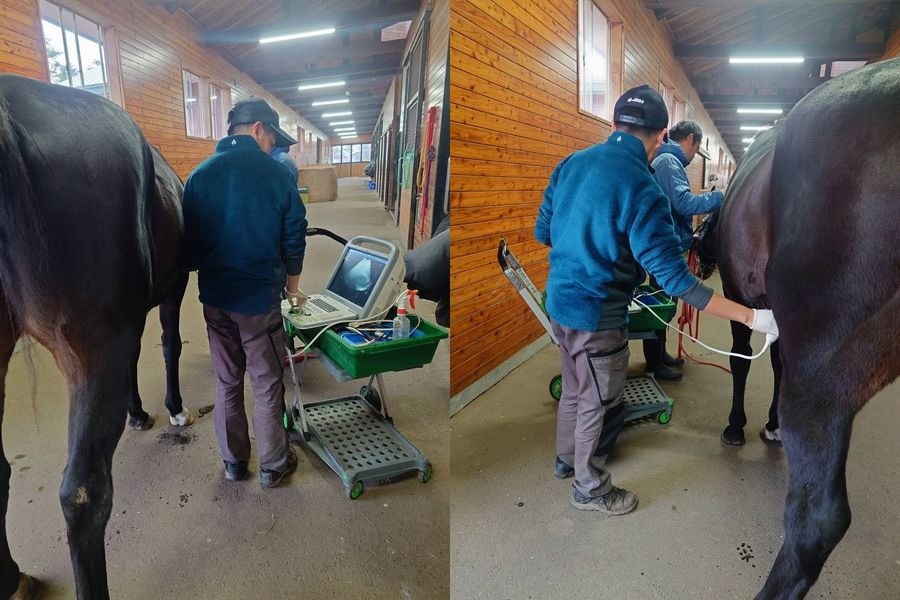 75ad1afd1e240dbec4339c93d61872ad-1765639028.jpg 75ad1afd1e240dbec4339c93d61872ad-1765639028.jpg