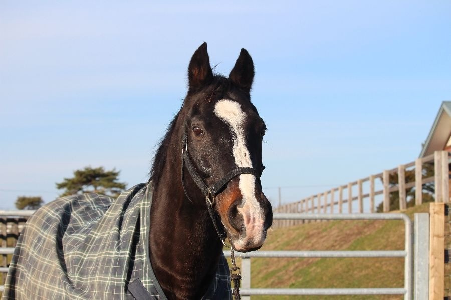 722a890df252bad9f5261c70c637eab6-1765638448.jpg 722a890df252bad9f5261c70c637eab6-1765638448.jpg