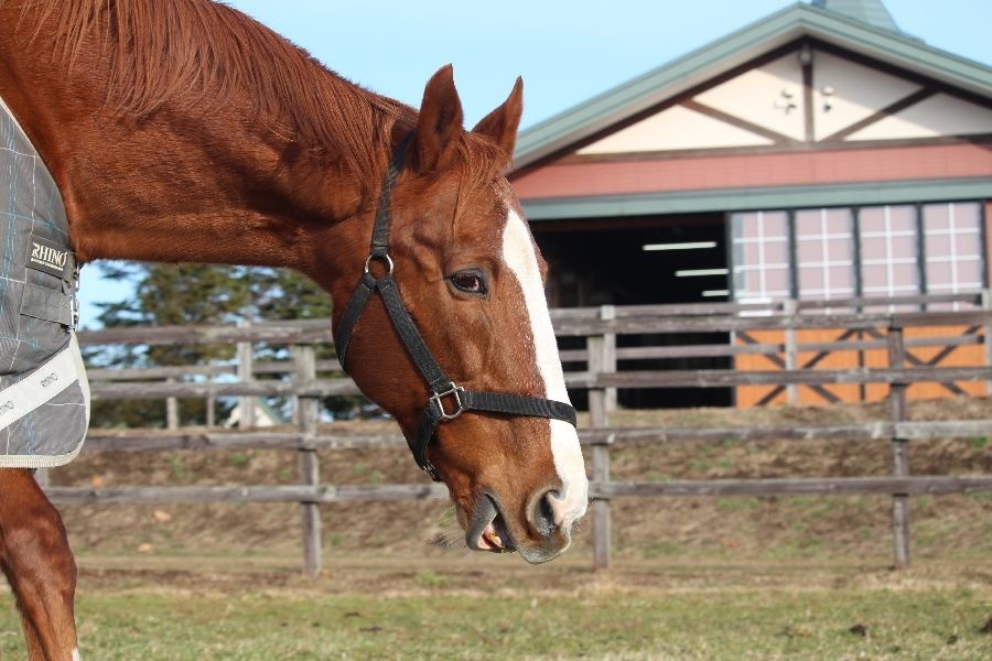 e2ad2d63f8b998155004514a6b086259-1765637237.jpg e2ad2d63f8b998155004514a6b086259-1765637237.jpg