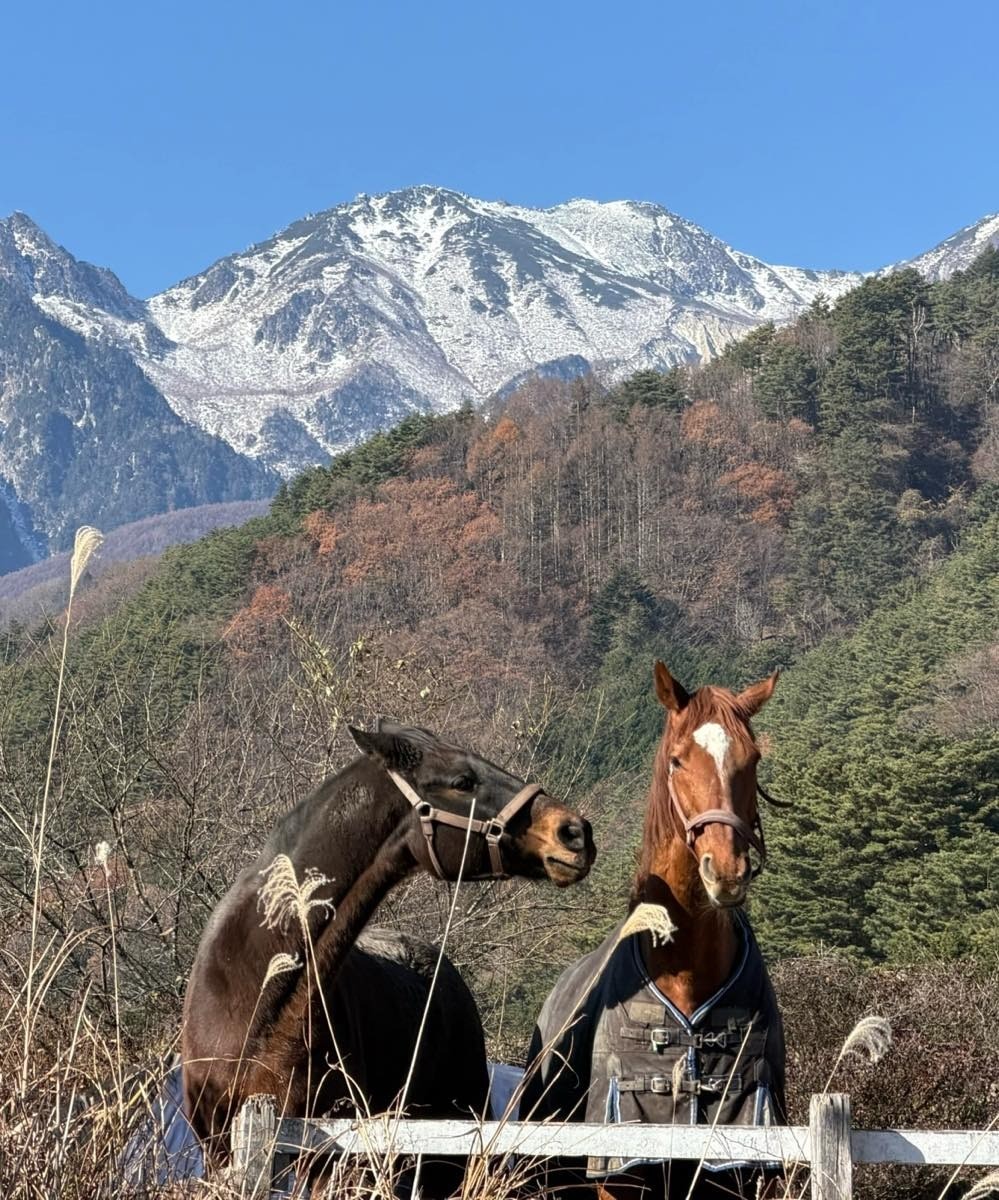 9f93ccd0affb210112b31e76ceacb1a3-1765783583.jpg 9f93ccd0affb210112b31e76ceacb1a3-1765783583.jpg