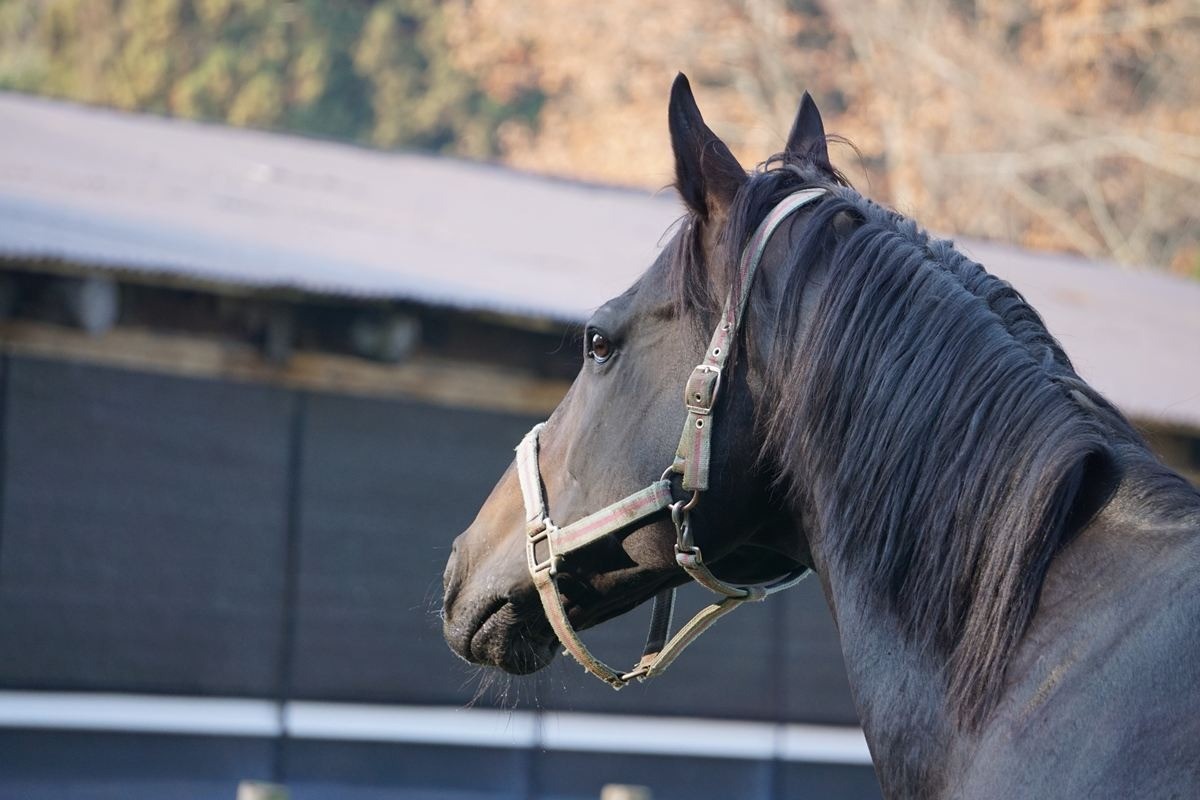 15d7110686bff274ee598cc7757c8870-1766235926.jpg 15d7110686bff274ee598cc7757c8870-1766235926.jpg