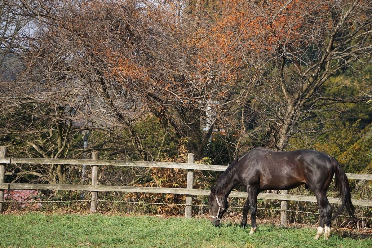 b2b7abc52133b42e23c562fac3d1fa23-1766235994.jpg b2b7abc52133b42e23c562fac3d1fa23-1766235994.jpg