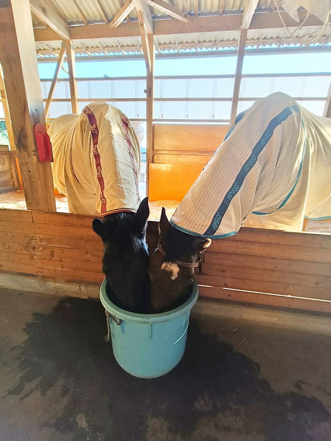 f8e10464afe2aca329c079603f4f8a2b-1769147650.jpg f8e10464afe2aca329c079603f4f8a2b-1769147650.jpg