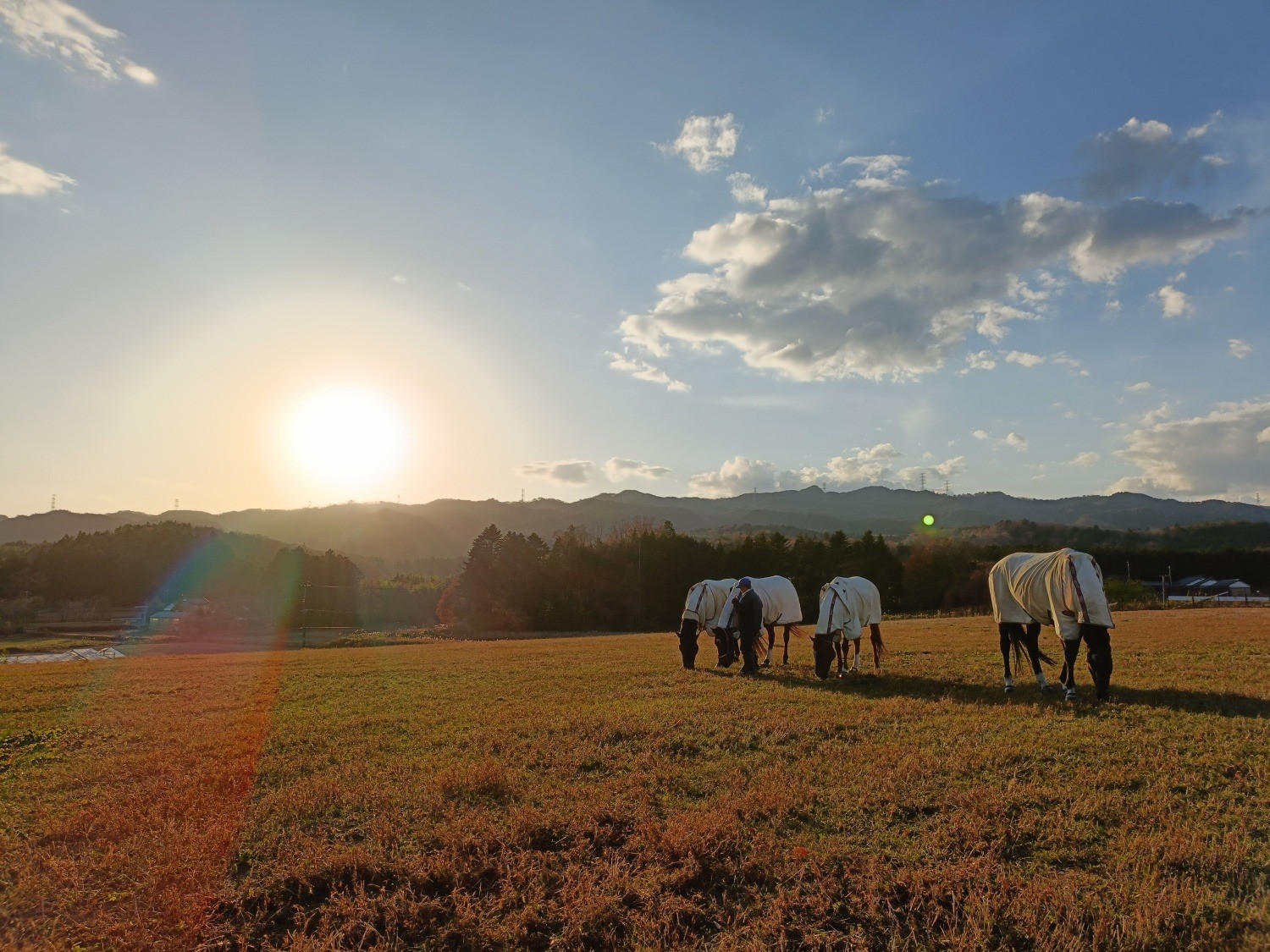 f8e10464afe2aca329c079603f4f8a2b-1769147967.jpg f8e10464afe2aca329c079603f4f8a2b-1769147967.jpg