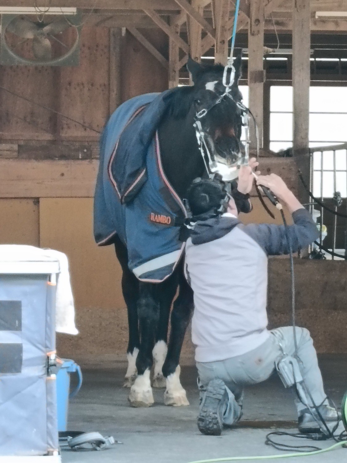 9c097d1219033238ca65794025e424b4-1769148055.jpg 9c097d1219033238ca65794025e424b4-1769148055.jpg