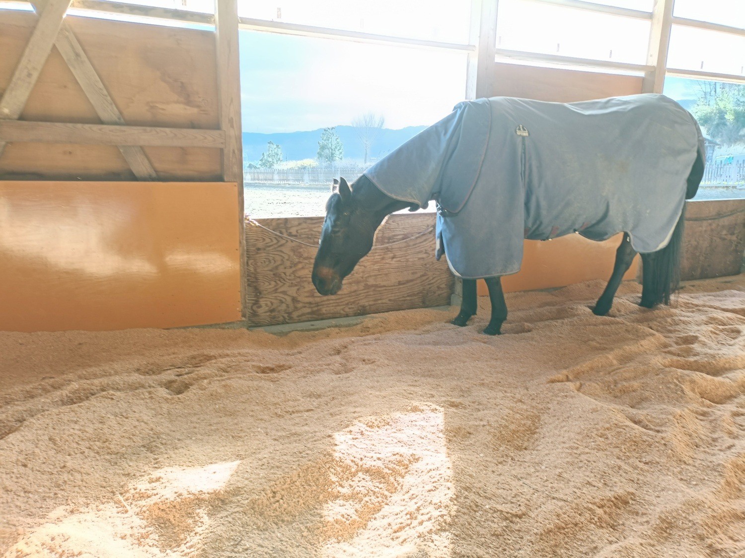 44aa706ea620718997e96900c79518f8-1769147248.jpg 44aa706ea620718997e96900c79518f8-1769147248.jpg