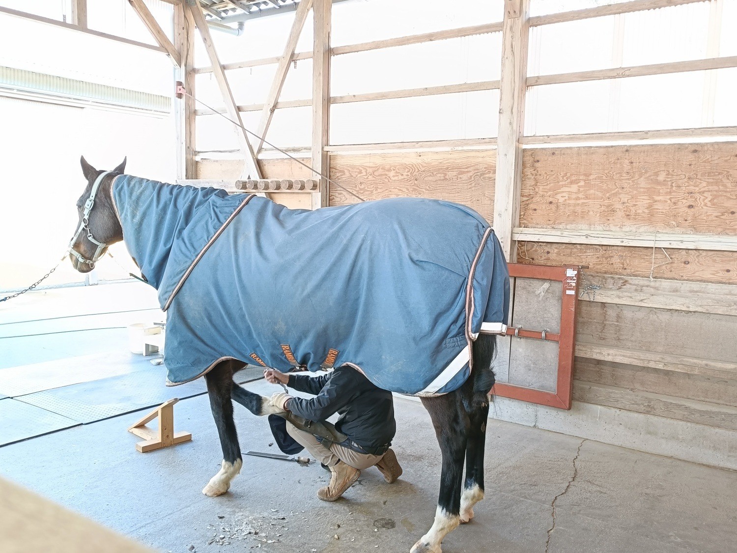 44aa706ea620718997e96900c79518f8-1769148088.jpg 44aa706ea620718997e96900c79518f8-1769148088.jpg