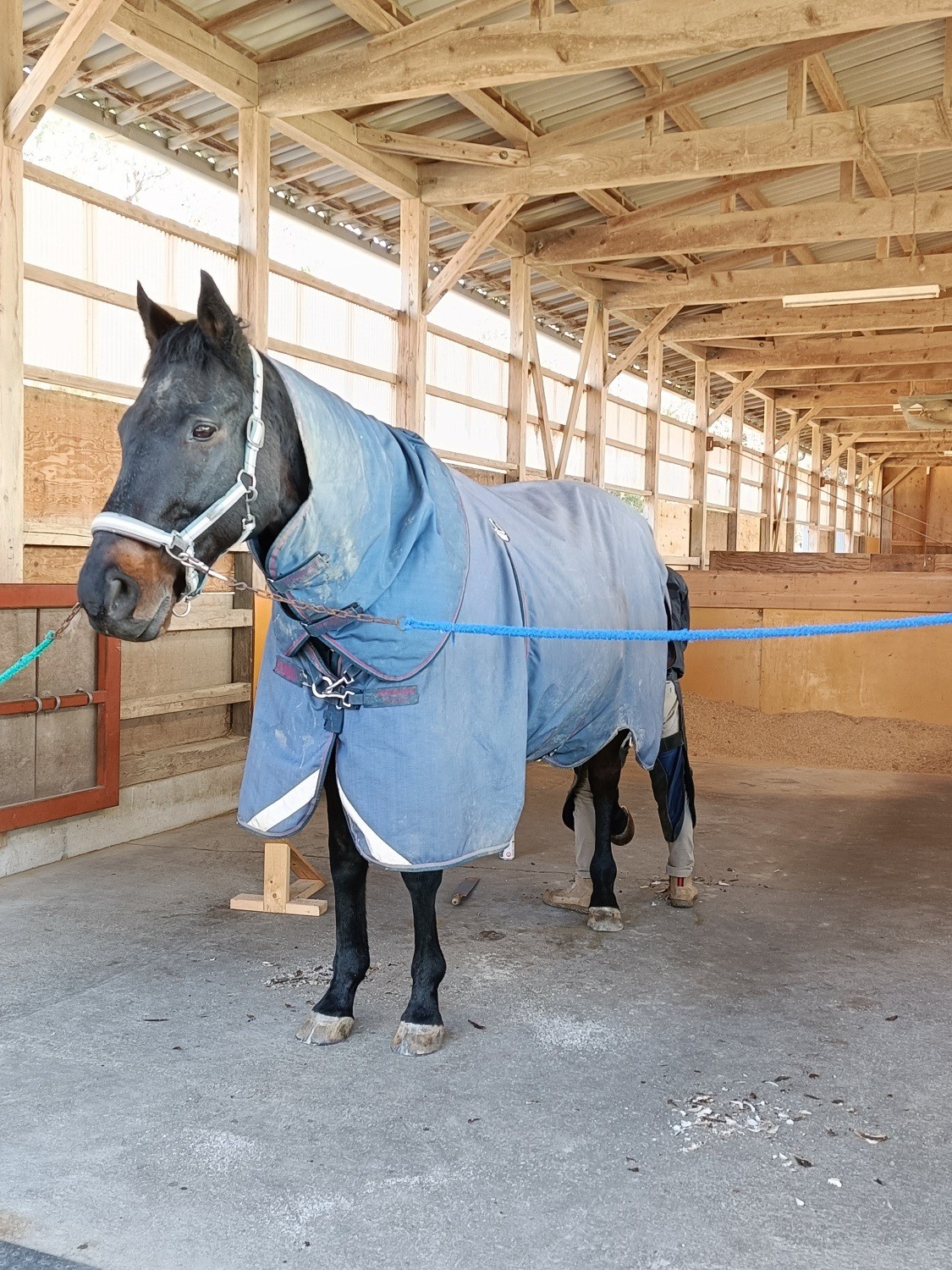 573a8fe5692983b04094cfe706e6263b-1769147271.jpg 573a8fe5692983b04094cfe706e6263b-1769147271.jpg