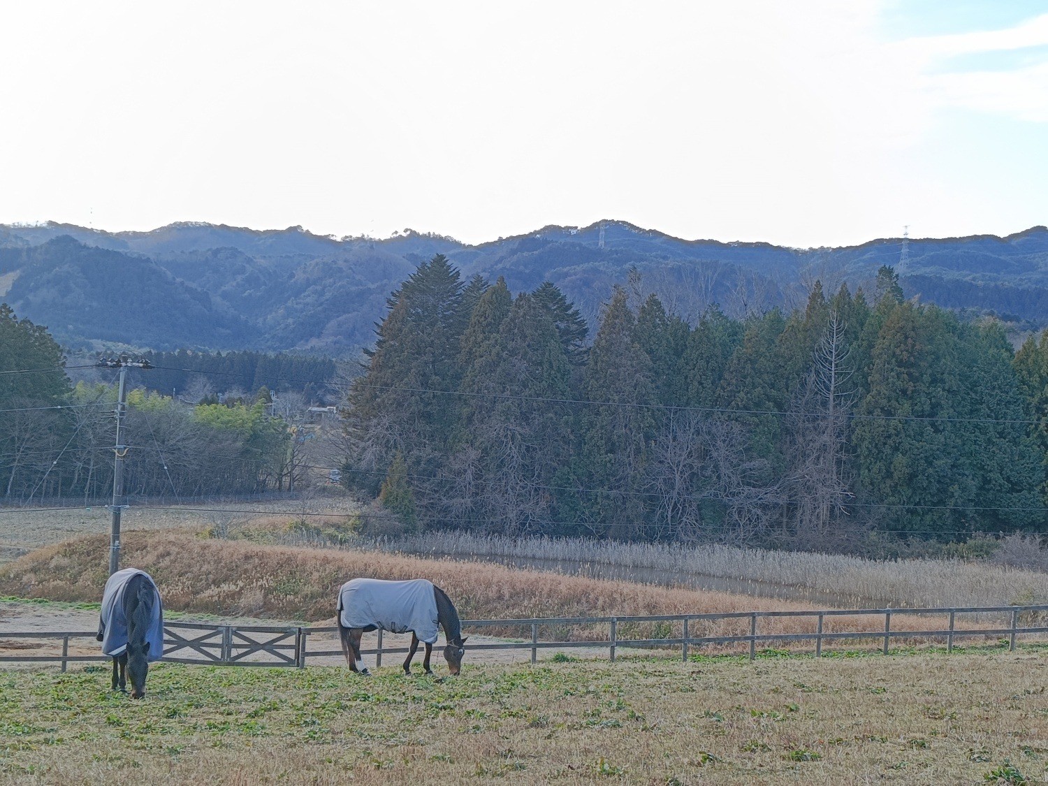 d89b0baea5b36583c02d895eb1966ce0-1769147423.jpg d89b0baea5b36583c02d895eb1966ce0-1769147423.jpg