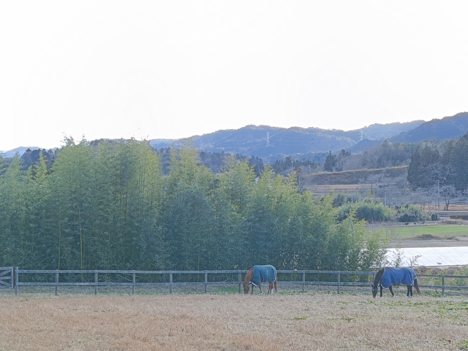 824ebe5c61e55a5a22a6e7e82d2abdac-1769148907.jpg 824ebe5c61e55a5a22a6e7e82d2abdac-1769148907.jpg