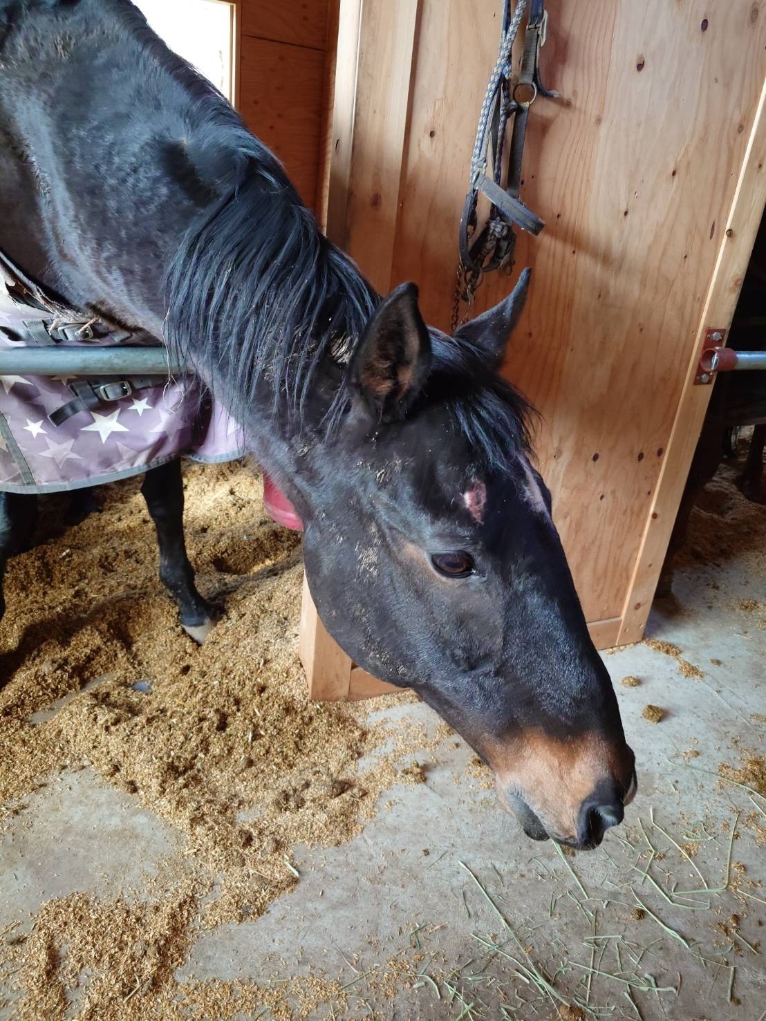 68e025dddb578aa5ec780e6deb4d23cd-1769835976.jpg 68e025dddb578aa5ec780e6deb4d23cd-1769835976.jpg