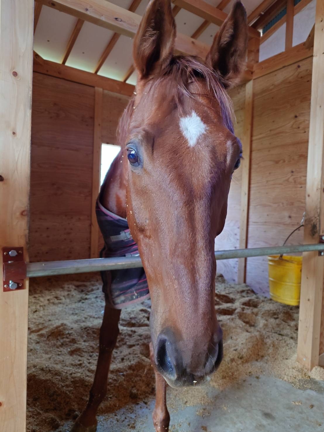 dd4f57f05db523b4351f07bd2fc03d24-1769836544.jpg dd4f57f05db523b4351f07bd2fc03d24-1769836544.jpg