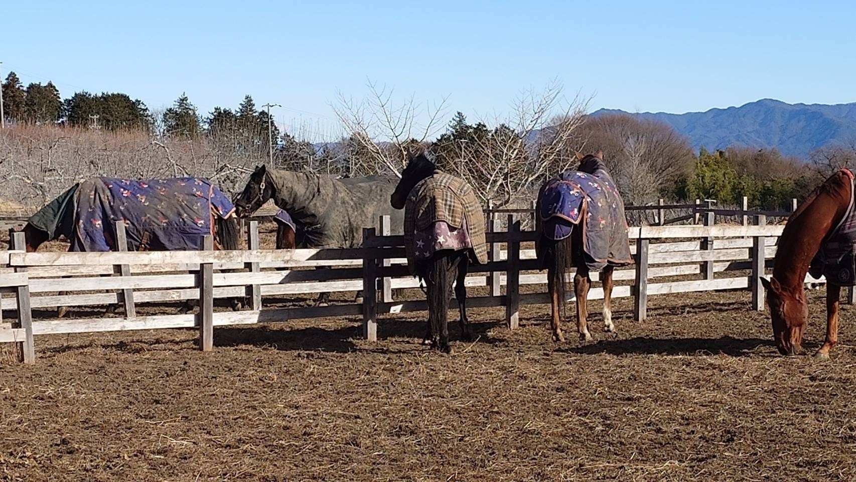 13764855eb7fe9022feded36260d3e11-1769837203.jpg 13764855eb7fe9022feded36260d3e11-1769837203.jpg