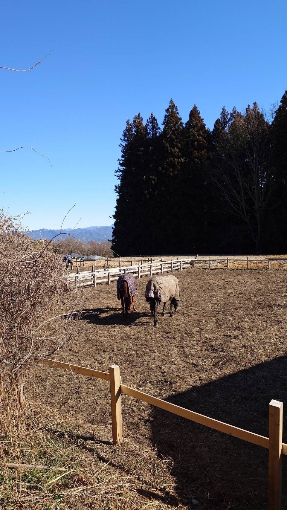 20dc4c09971dbf74347b6774ba580597-1769837050.jpg 20dc4c09971dbf74347b6774ba580597-1769837050.jpg