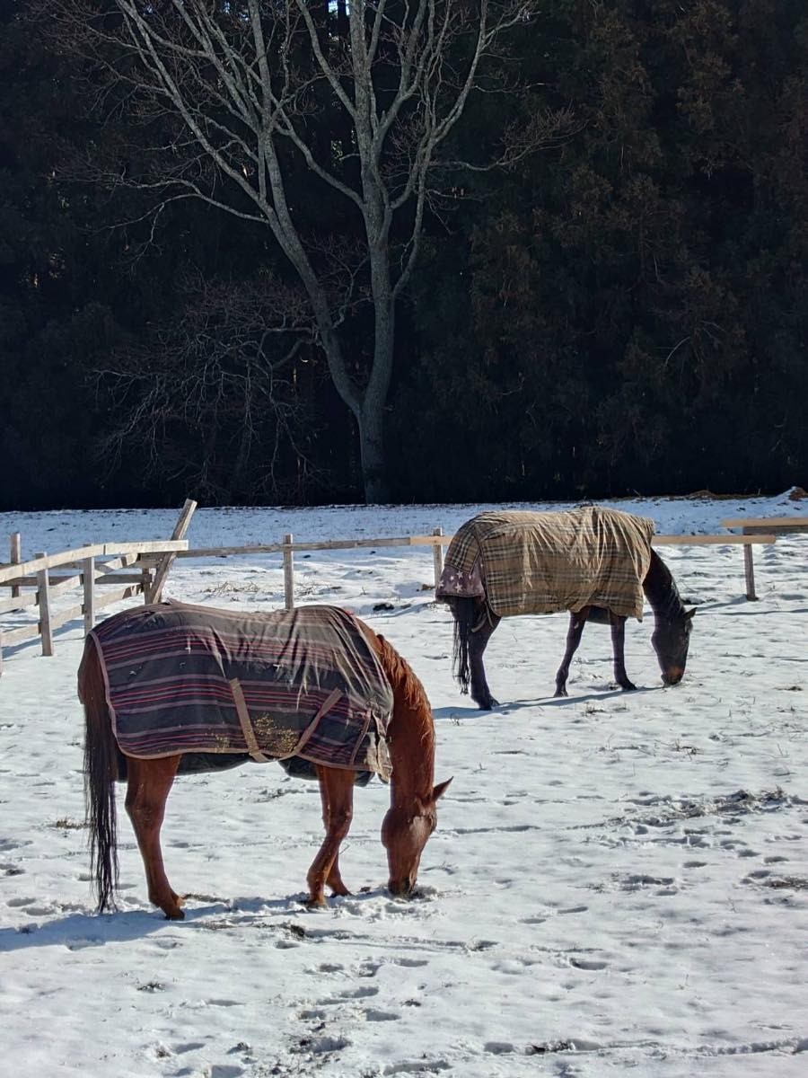 a130bce60856b3cdf5ba2dc0f39251b2-1769840193.jpg a130bce60856b3cdf5ba2dc0f39251b2-1769840193.jpg