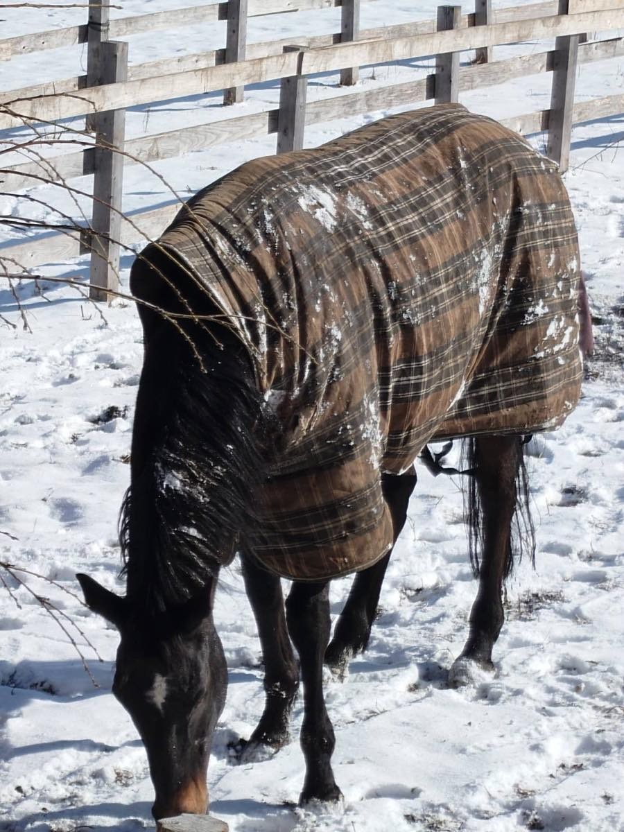 e456e75d645dd43e5f09d6dd5ad3dad4-1769839960.jpg e456e75d645dd43e5f09d6dd5ad3dad4-1769839960.jpg