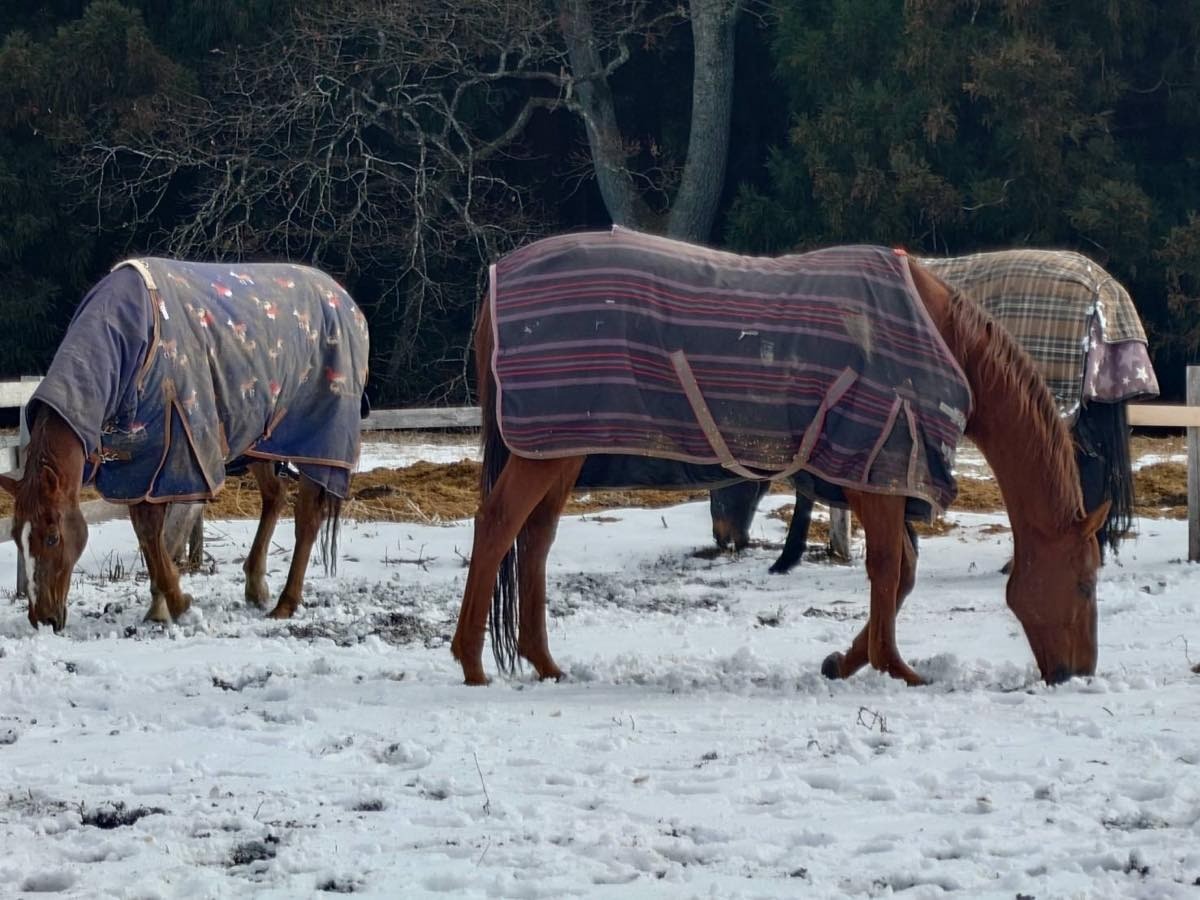 84bd8d348b4bc7f6232696d0fbb4a18d-1769839422.jpg 84bd8d348b4bc7f6232696d0fbb4a18d-1769839422.jpg