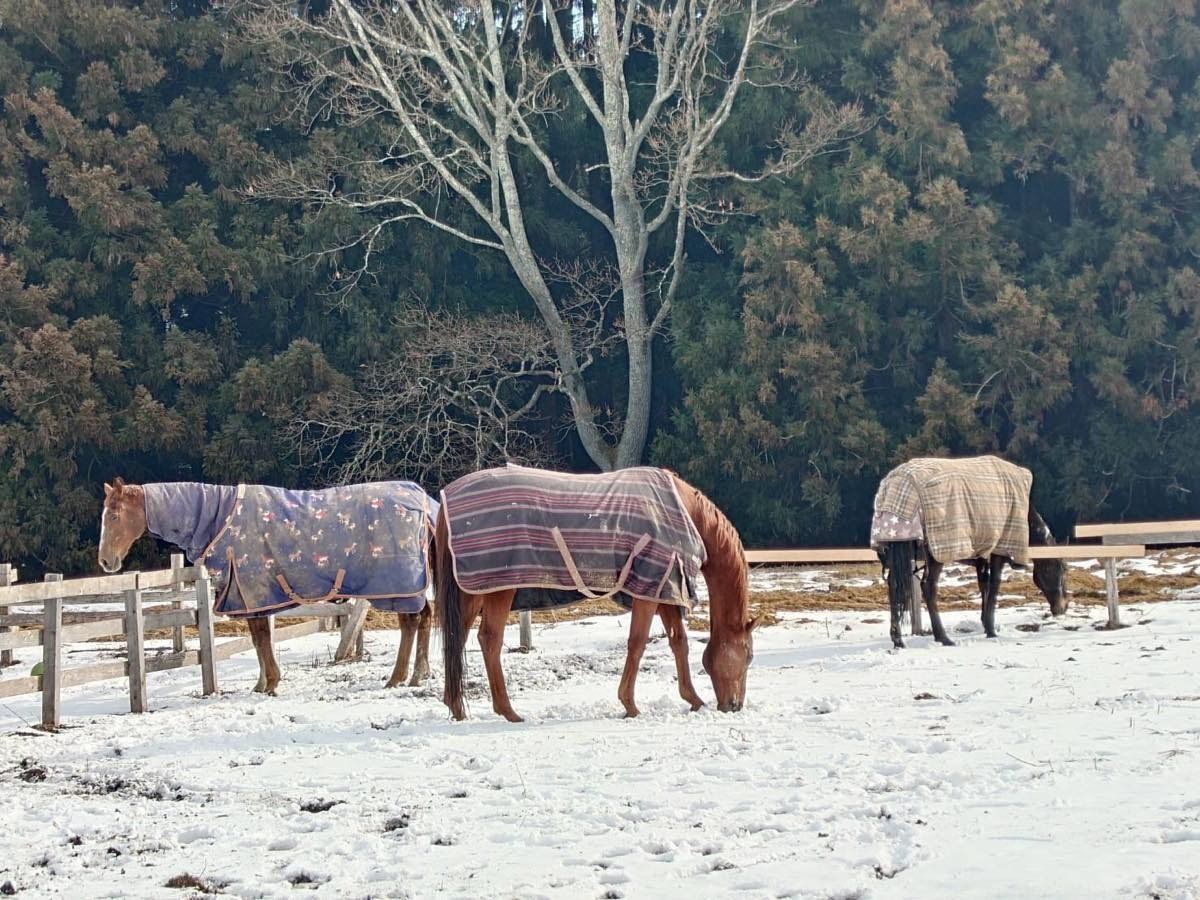 8180874fa55d8c39edd4c6a9330a7036-1769840293.jpg 8180874fa55d8c39edd4c6a9330a7036-1769840293.jpg