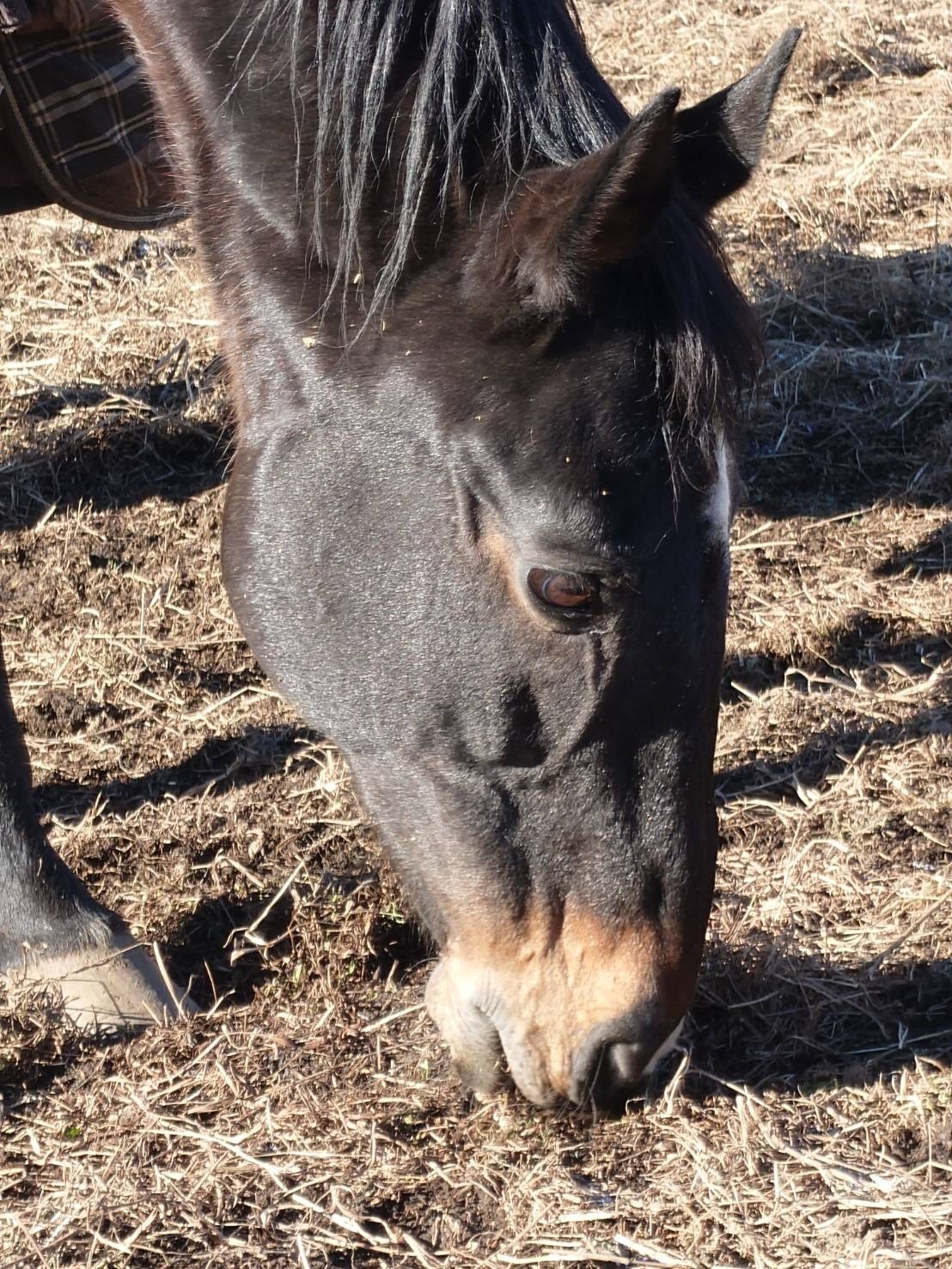 b1088dd0032a9e7b2acb350ad57e1019-1769837916.jpg b1088dd0032a9e7b2acb350ad57e1019-1769837916.jpg