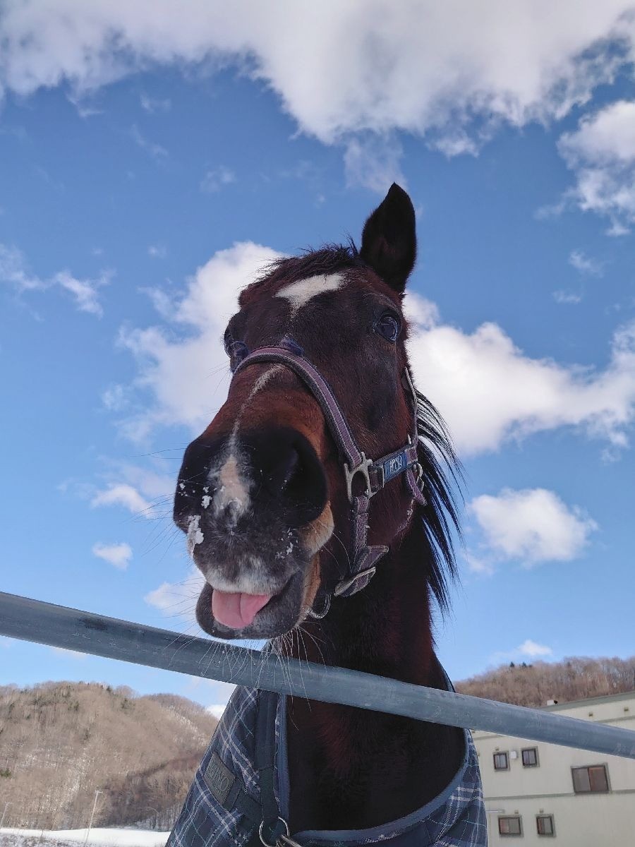 3f91c49d366bd06d6b13729748b240c9-1769521450.jpg 3f91c49d366bd06d6b13729748b240c9-1769521450.jpg