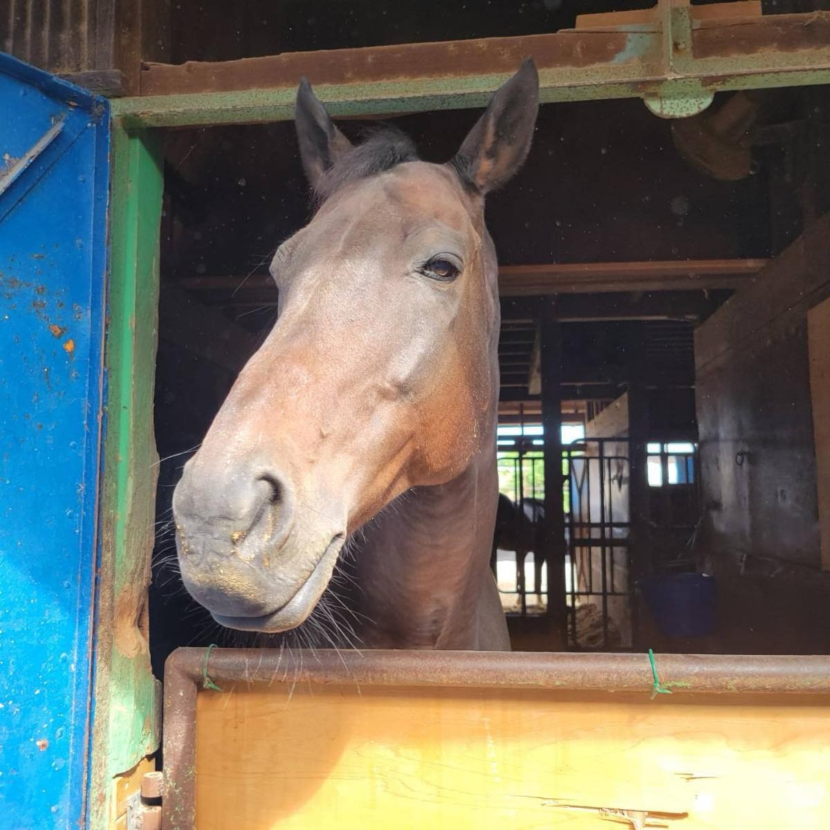 f86170db5423d9adb22ba976a53f5089-1768983605.jpg f86170db5423d9adb22ba976a53f5089-1768983605.jpg