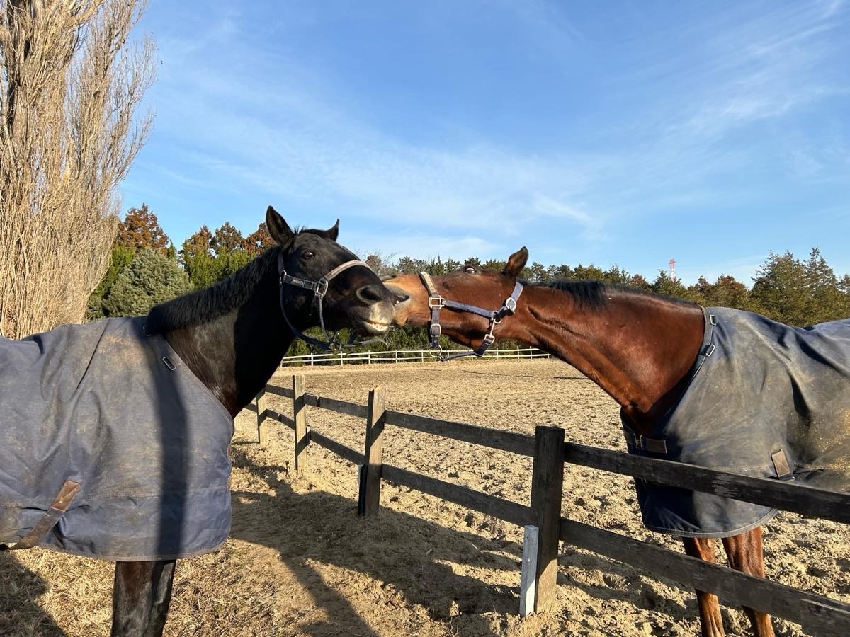 9fa9b9a65aeea0ba96c5fee1b6758587-1769609013.jpg 9fa9b9a65aeea0ba96c5fee1b6758587-1769609013.jpg