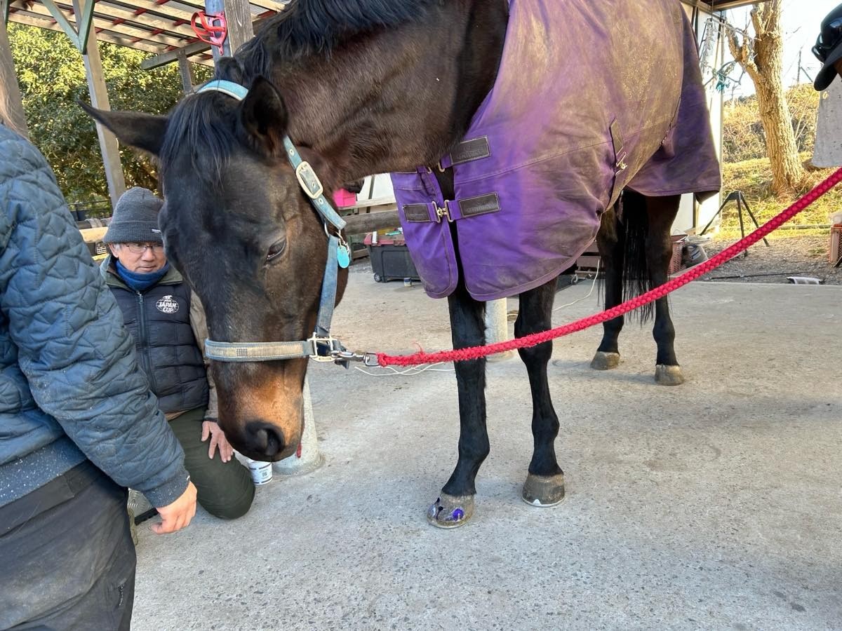 e1b4e6758e50ece7d7539cdff9aa6e35-1769618689.jpg e1b4e6758e50ece7d7539cdff9aa6e35-1769618689.jpg