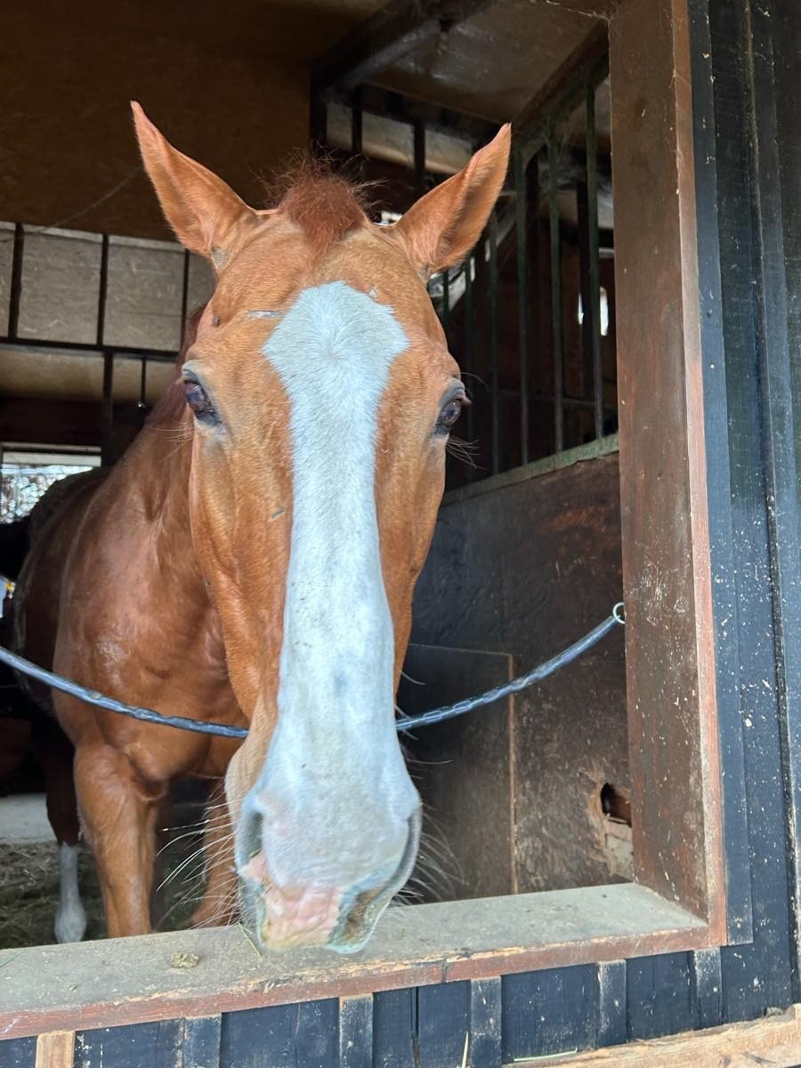 eec352de526759e0ab8f22aeb44f0edd-1769623422.jpg eec352de526759e0ab8f22aeb44f0edd-1769623422.jpg