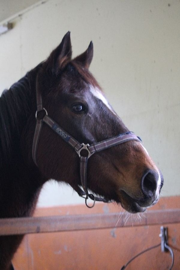 67cce5fd613e949d38ac8a983376fe6b-1769521574.jpg 67cce5fd613e949d38ac8a983376fe6b-1769521574.jpg