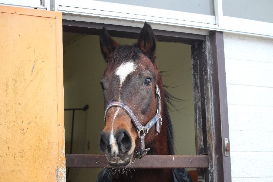 26c074733bbd4da1036c6ee5244ade61-1769521582.jpg 26c074733bbd4da1036c6ee5244ade61-1769521582.jpg