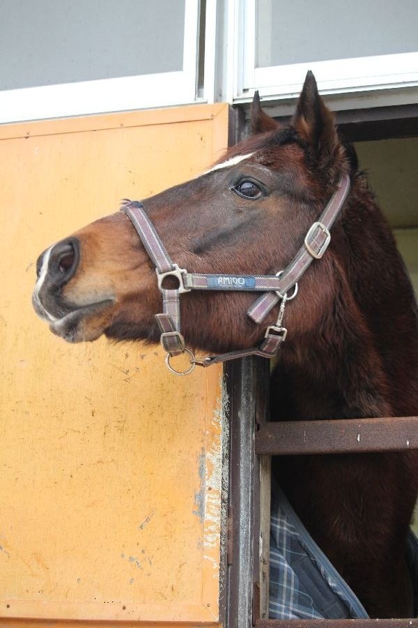 ea36107e931502c3dfdfc59e07683547-1769521647.jpg ea36107e931502c3dfdfc59e07683547-1769521647.jpg