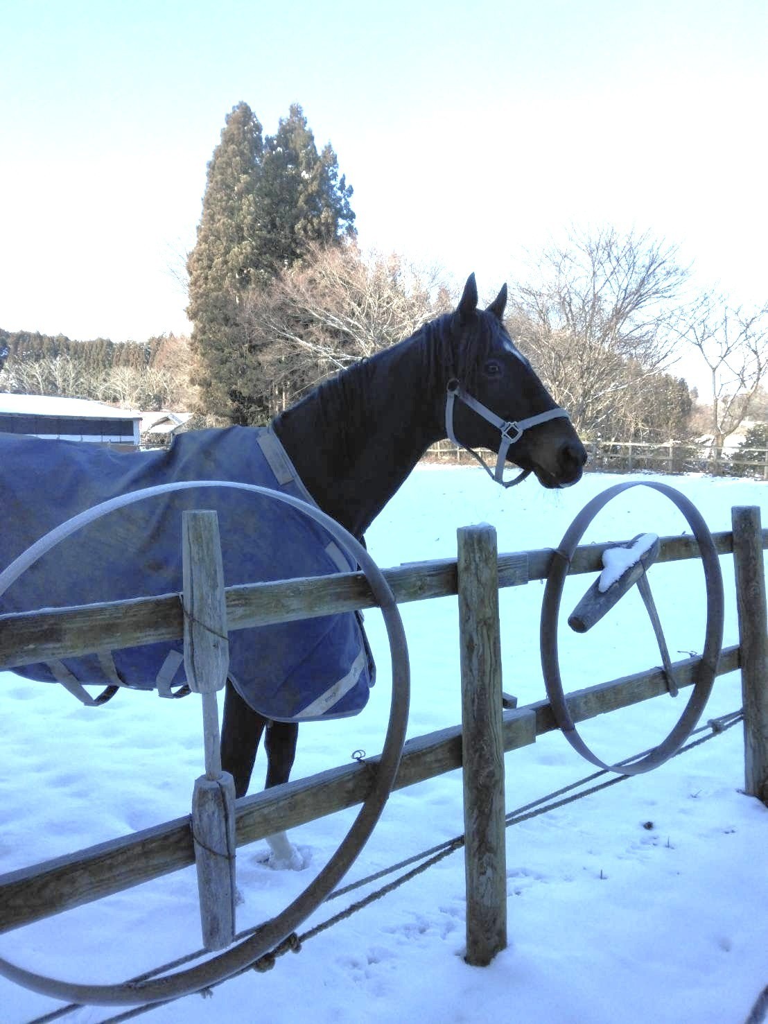 c8af0c5ca67742bffdb56d103faaa07e-1769180416.jpg c8af0c5ca67742bffdb56d103faaa07e-1769180416.jpg