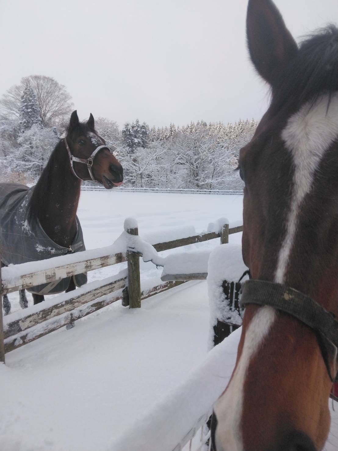 f59528b51ef9b8ec0d7ff181d09f8a76-1769172273.jpg f59528b51ef9b8ec0d7ff181d09f8a76-1769172273.jpg