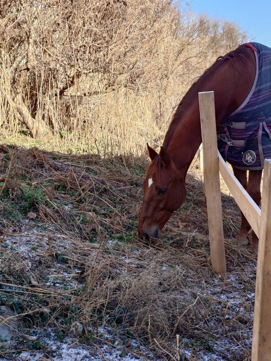 8e21b5108ca2983a404bc6fcdffec0b5-1769839127.jpg 8e21b5108ca2983a404bc6fcdffec0b5-1769839127.jpg