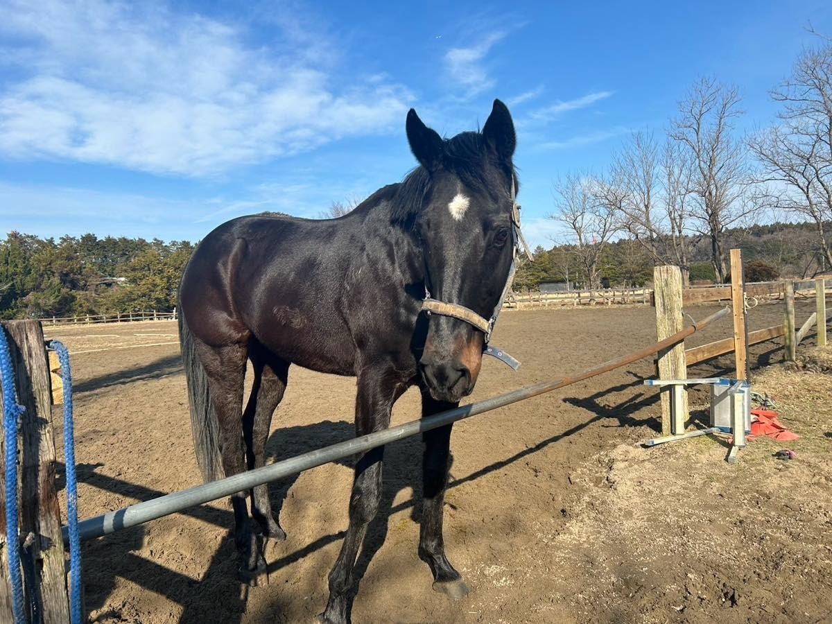 0c723aa9b74cc36bf451d29848a9585c-1769622111.jpg 0c723aa9b74cc36bf451d29848a9585c-1769622111.jpg