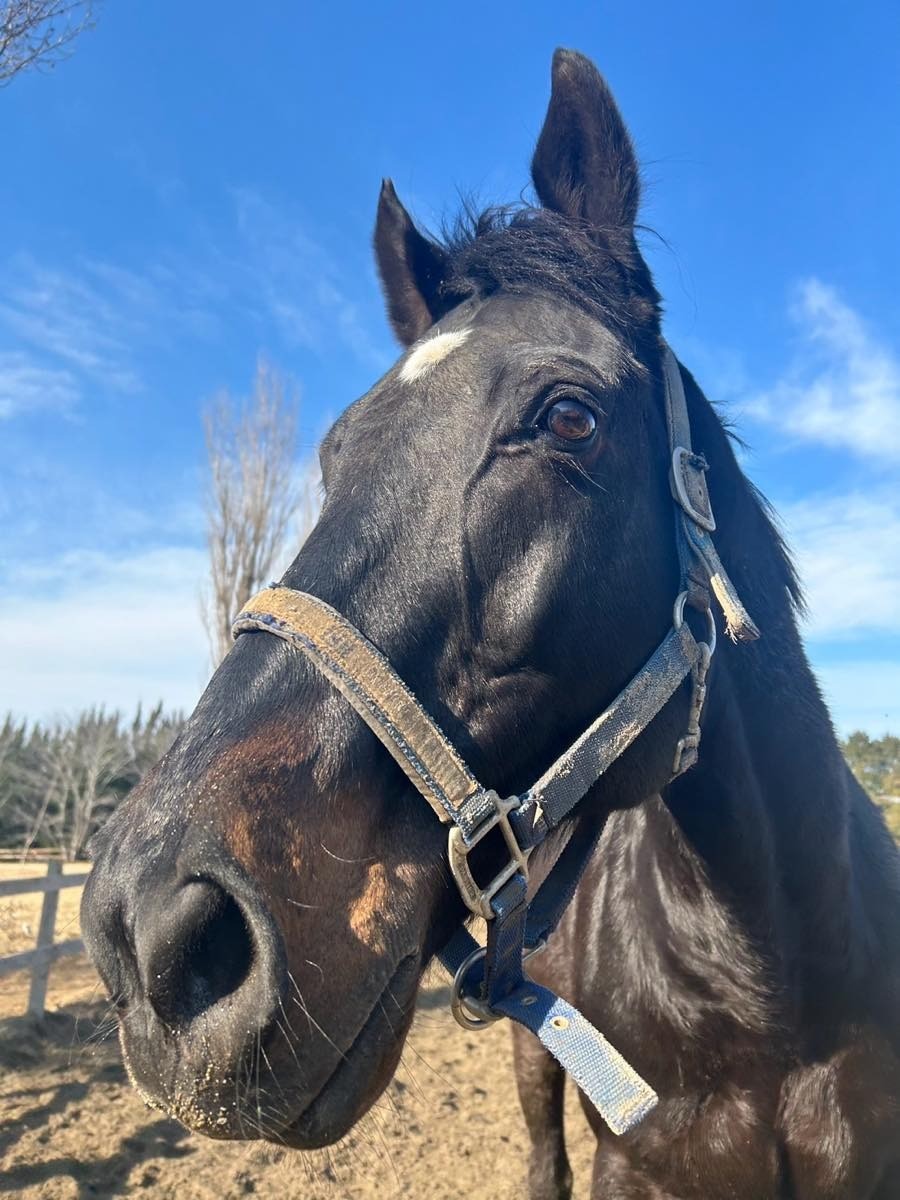 6f4ddb21b56d5b7aaa6b8376126450c5-1769622131.jpg 6f4ddb21b56d5b7aaa6b8376126450c5-1769622131.jpg