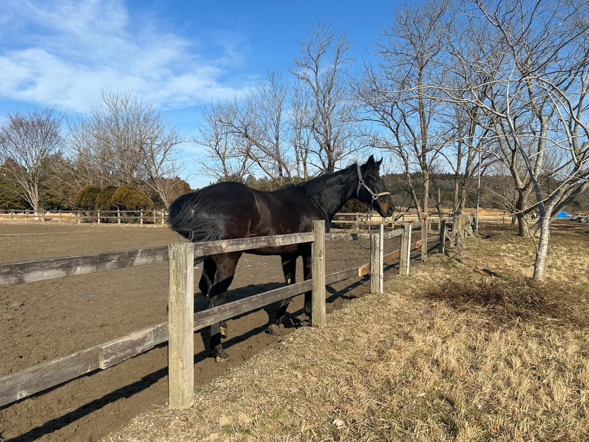 cdaeff04d4fc5f3d78e16518a4138e4c-1769622779.jpg cdaeff04d4fc5f3d78e16518a4138e4c-1769622779.jpg