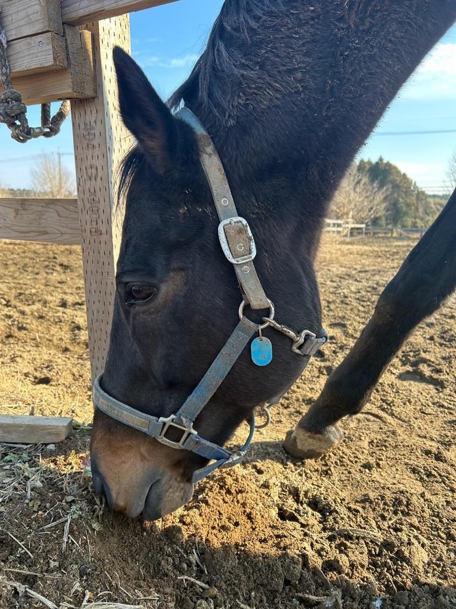 b739115f4b418e38fc4a038fbbdcea23-1769621503.jpg b739115f4b418e38fc4a038fbbdcea23-1769621503.jpg