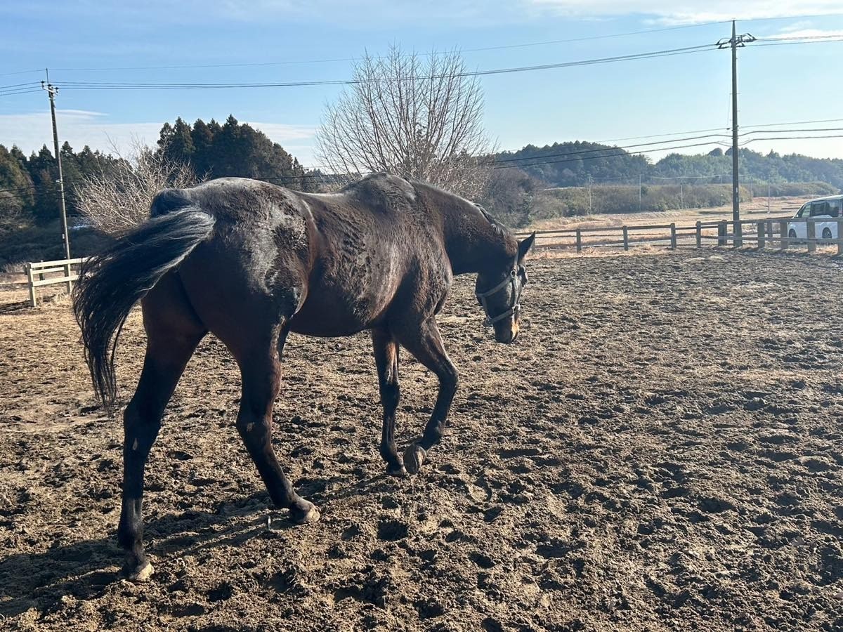 e1afa8efc355d3fe45ecedf48518b67c-1769621674.jpg e1afa8efc355d3fe45ecedf48518b67c-1769621674.jpg