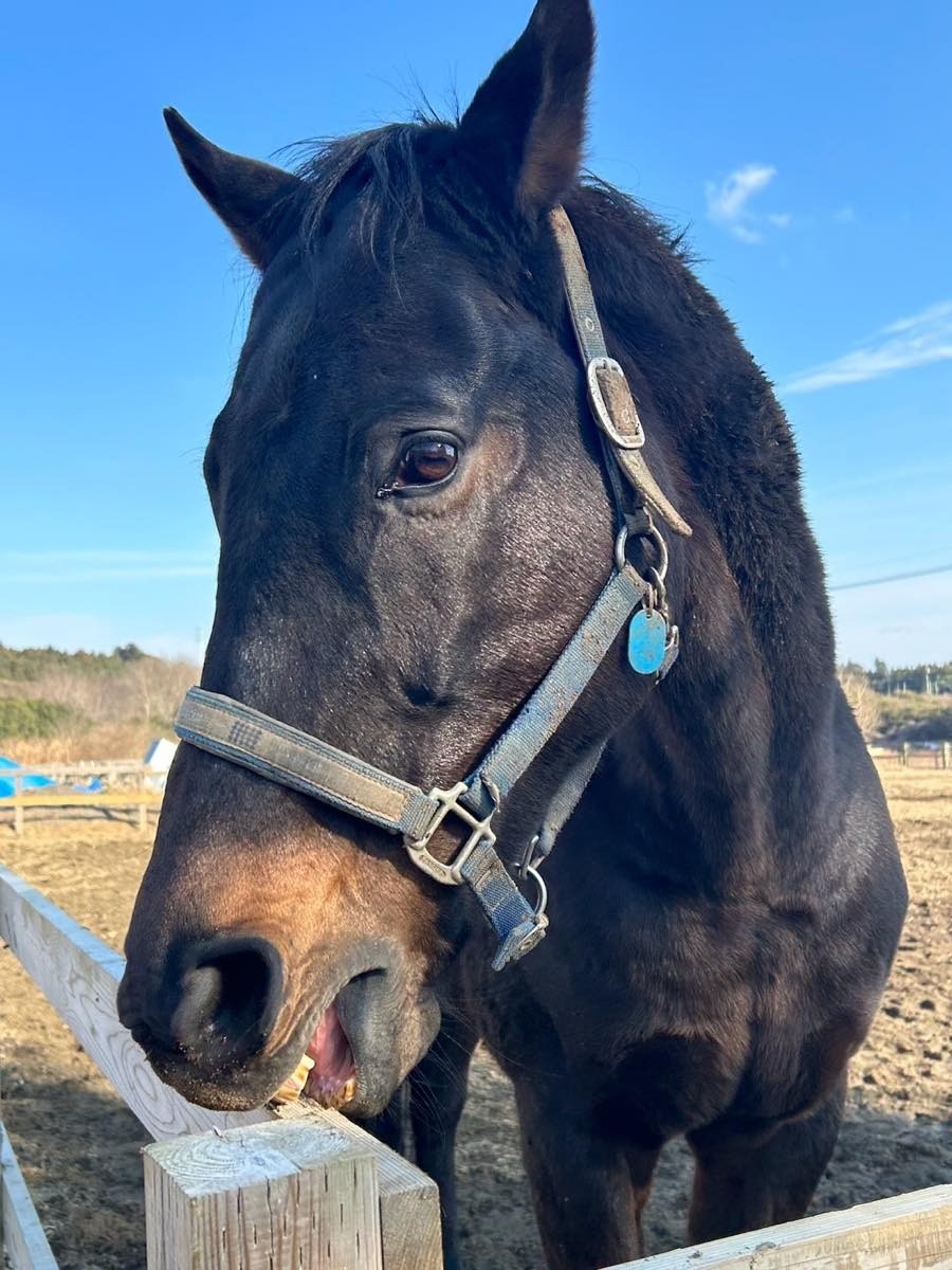 d6806acdd3b5cde815e2315baaed1b81-1769618047.jpg d6806acdd3b5cde815e2315baaed1b81-1769618047.jpg